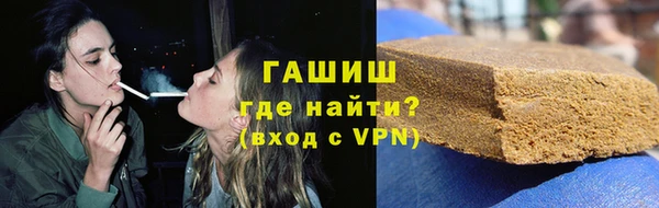 индика Горняк