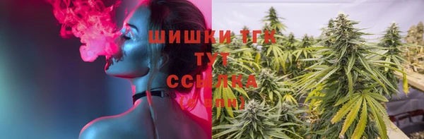 прущие грибы Гусев