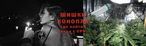 прущие грибы Гусев