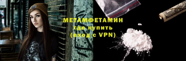 прущие грибы Гусев