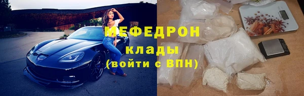 прущие грибы Гусев