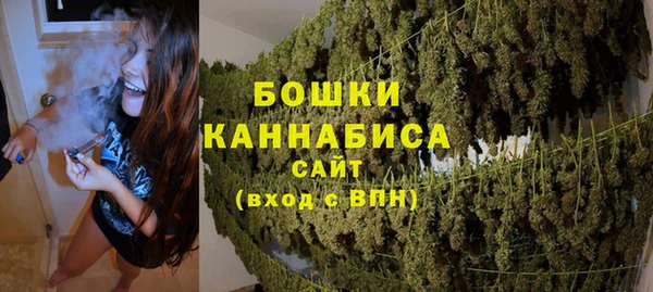 прущие грибы Гусев