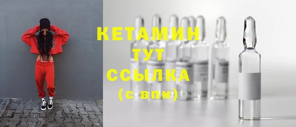 прущие грибы Гусев
