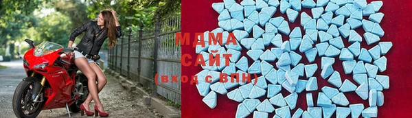 прущие грибы Гусев