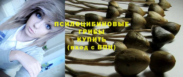 первитин Гусиноозёрск
