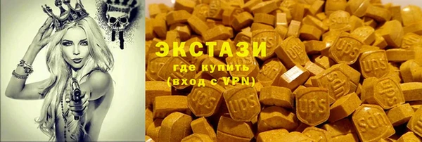 прущие грибы Гусев