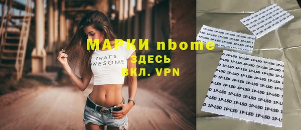 прущие грибы Гусев
