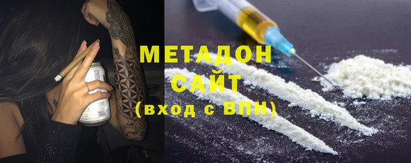 прущие грибы Гусев