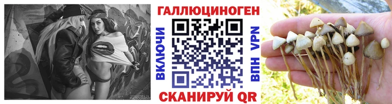 Псилоцибиновые грибы GOLDEN TEACHER Ханты-Мансийск