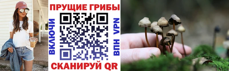 Псилоцибиновые грибы мицелий  как найти   Ханты-Мансийск 